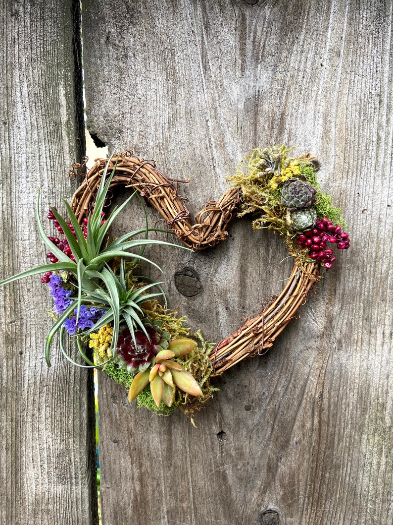 May include: A heart-shaped wreath made of brown twigs with a variety of succulents, air plants, and red berries. The wreath is hanging on a wooden fence.