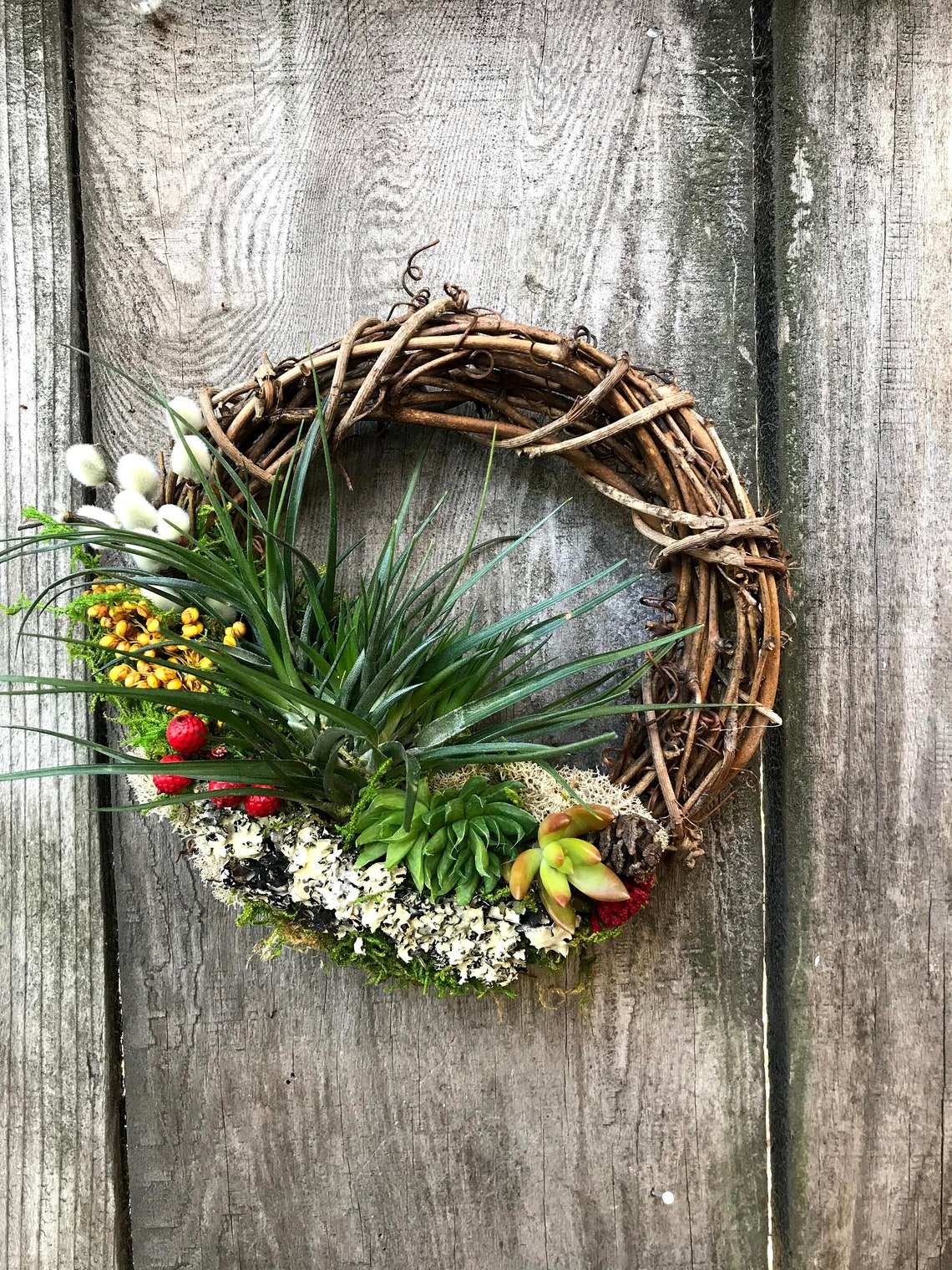 Christmas Holiday Living Wreath Air Plants / Succulents / Etsy