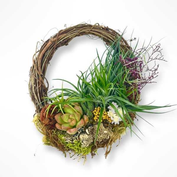 Living Grapevine Wreath with Succulents & Air Plants (tillandsias)- 6 inch Indoor/Outdoor