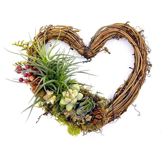 Living Heart Wreath 6 inch - Succulents / Air Plants / Dried Flowers