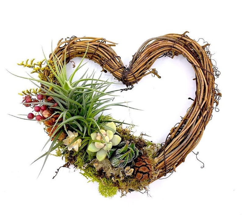 May include: A heart-shaped wreath made of brown twigs with a variety of green succulents and air plants growing inside. The wreath is decorated with small red berries and a pine cone.