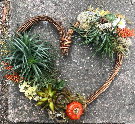 Living Heart Wreath Succulents / Air Plants / Dried Flowers