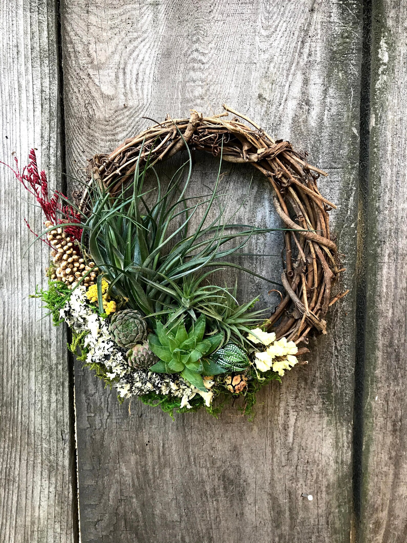 Christmas Holiday Living Wreath Air Plants / Succulents / Etsy