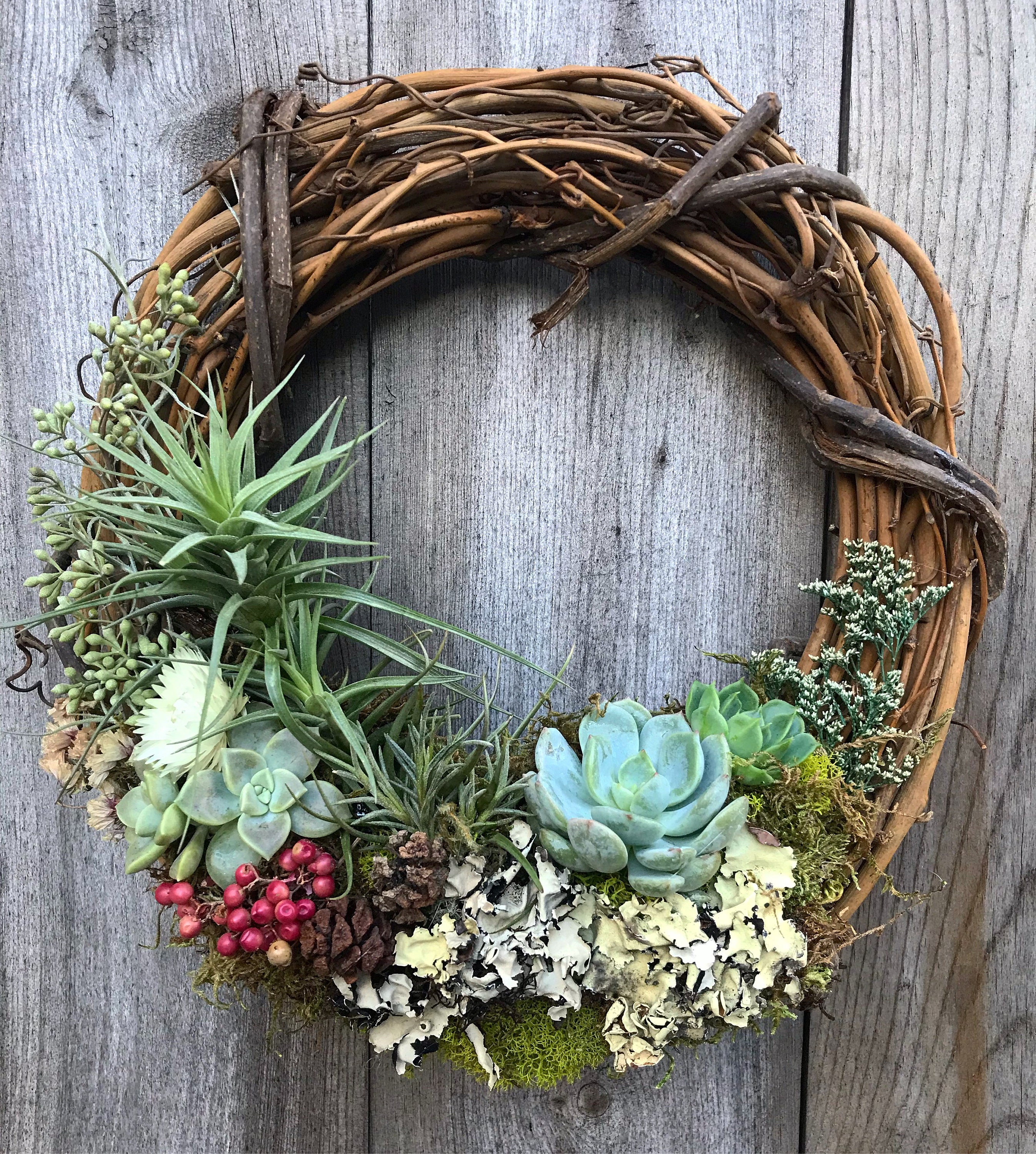 Living Heart Wreath Succulents / Air Plants / Dried Flowers / Grapevine 