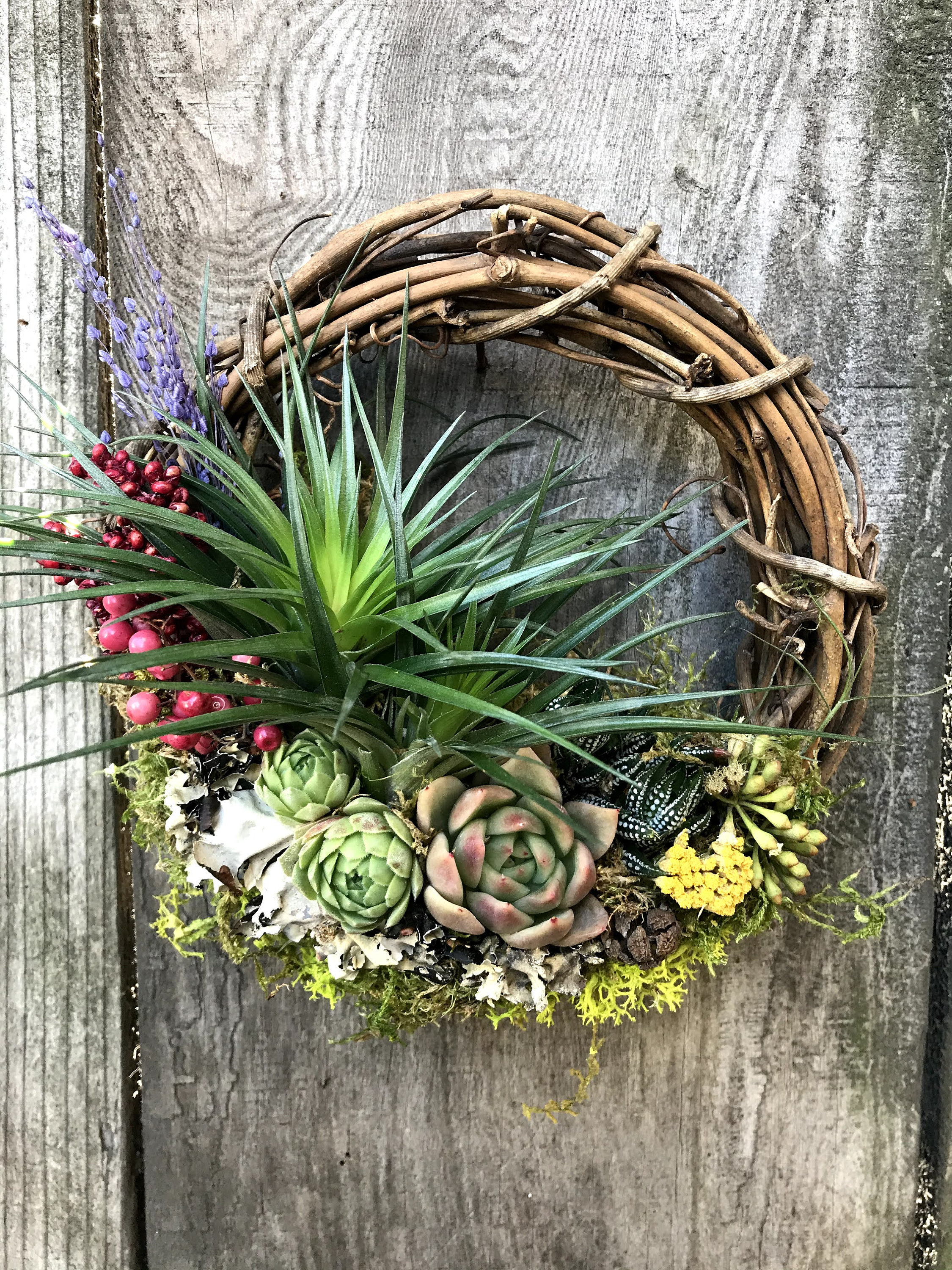 Christmas Holiday Living Wreath Air Plants / Succulents / Etsy