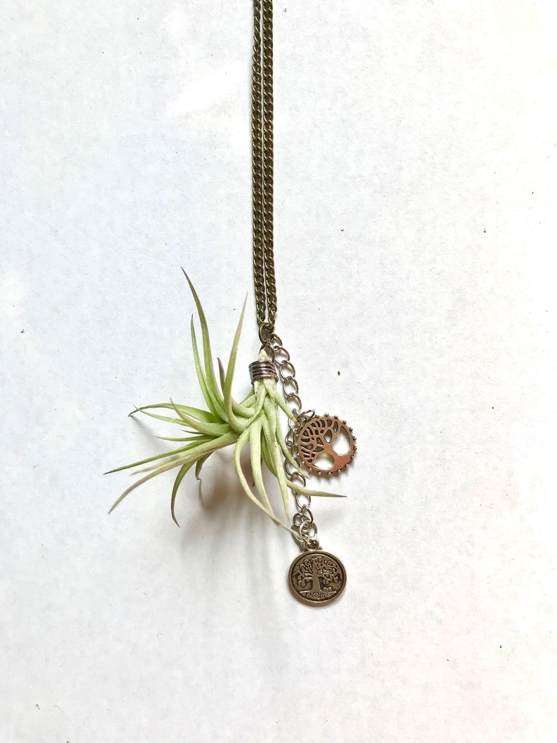 Tren Fashion Terbaru: Kalung Tanaman Udara (Air Plant Necklace) - Sentuhan Hijau yang Elegan