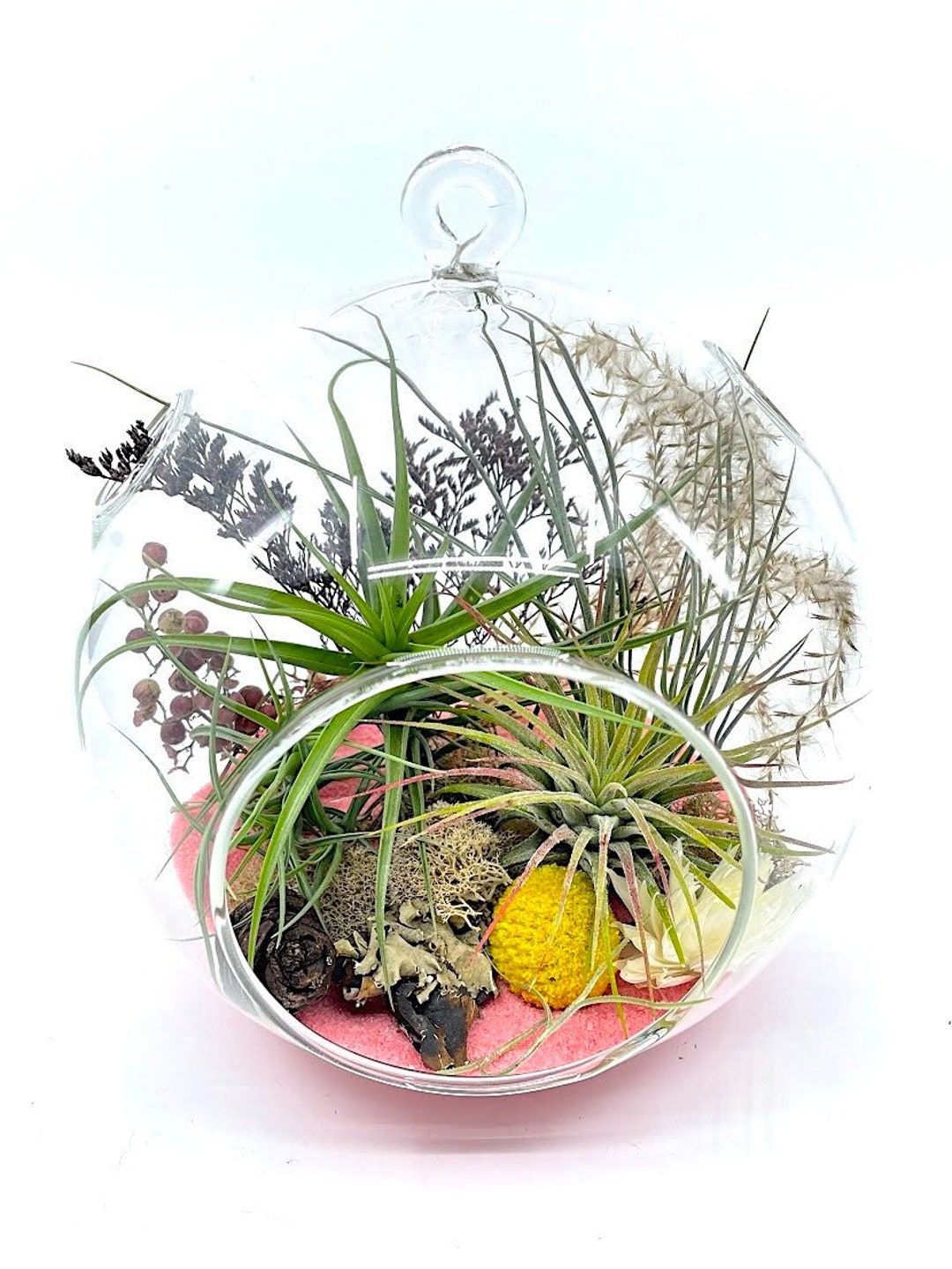 Living Heart Wreath Succulents / Air Plants / Dried Flowers