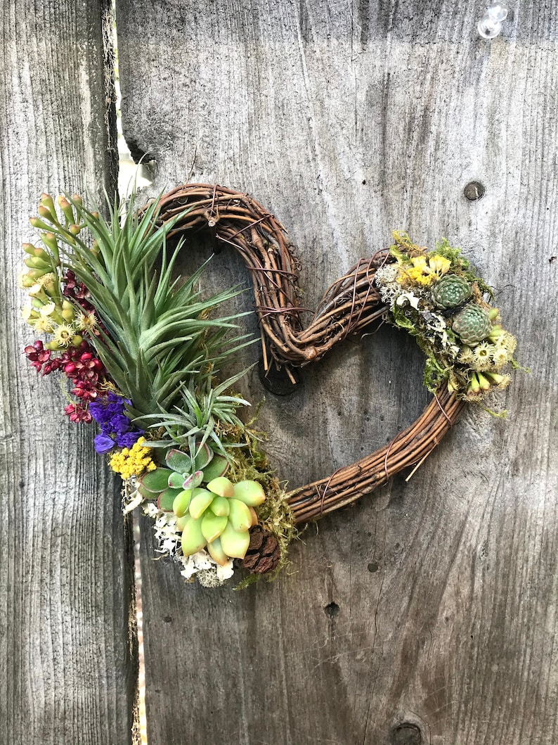 May include: A heart-shaped wreath made of brown twigs is decorated with green succulents, air plants, and dried flowers in shades of yellow, red, and purple.