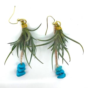 Living Air Plant (Tillandsia) Earrings
