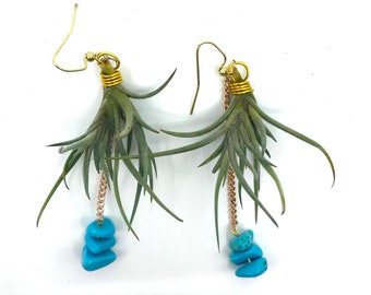 Living Air Plant (Tillandsia) Earrings