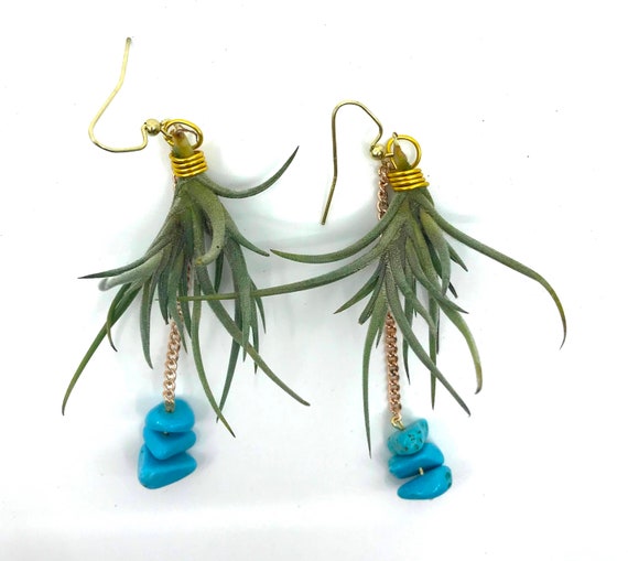 Living Air Plant (Tillandsia) Earrings