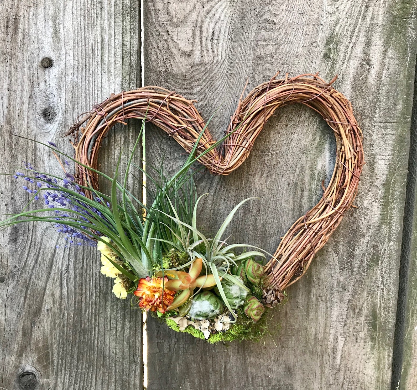 Living Heart Grapevine Wreath 8 Inch Succulents / Air Plants / Dried