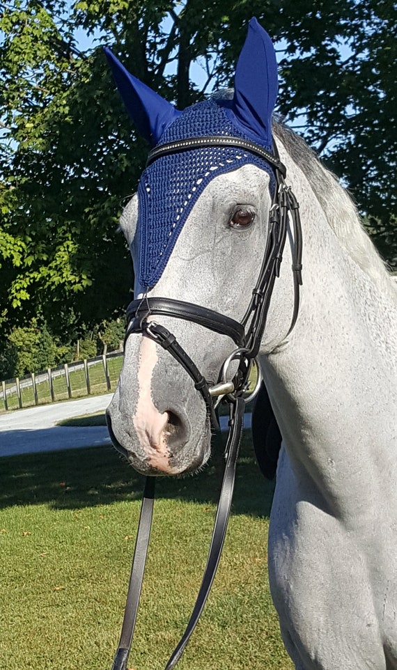 How To Use A Tie Down Horse