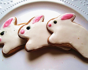 Easter gift cookies--Birthday Cookies, bunny Cookies, rabbit cookies--Customized decorated bunny sugar cookies--one dozen