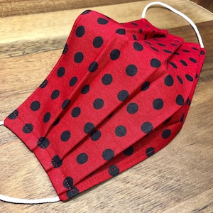 Ladybug Polka Dots Pleated Face Mask | Washable, Reusable, Reversible | Adjustable Nose & Ear Loops | Filter Pocket | Adult + Kid Sizes