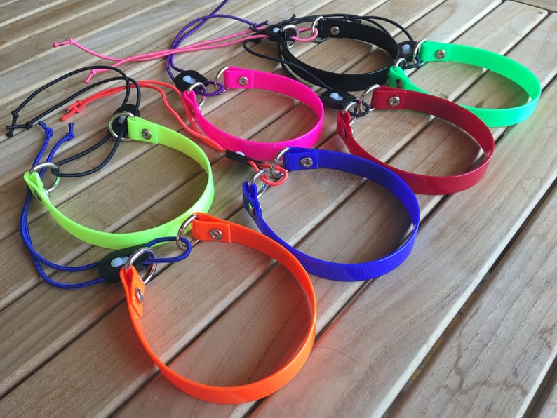 Surefit Med/ Lrg Ebungee Biothane Dog Collar. Easy on / Etsy