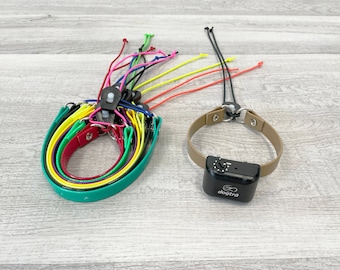 dogtra bungee collar