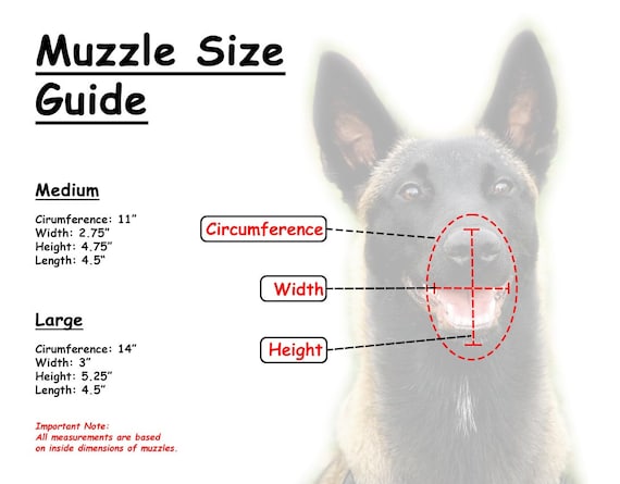 full head dog muzzle