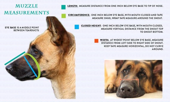 Badass dog cheap muzzle