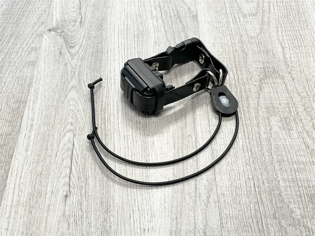 Surefit Ebungee Quick Release Buckle Collar for 3/4 Educator, Dogtra