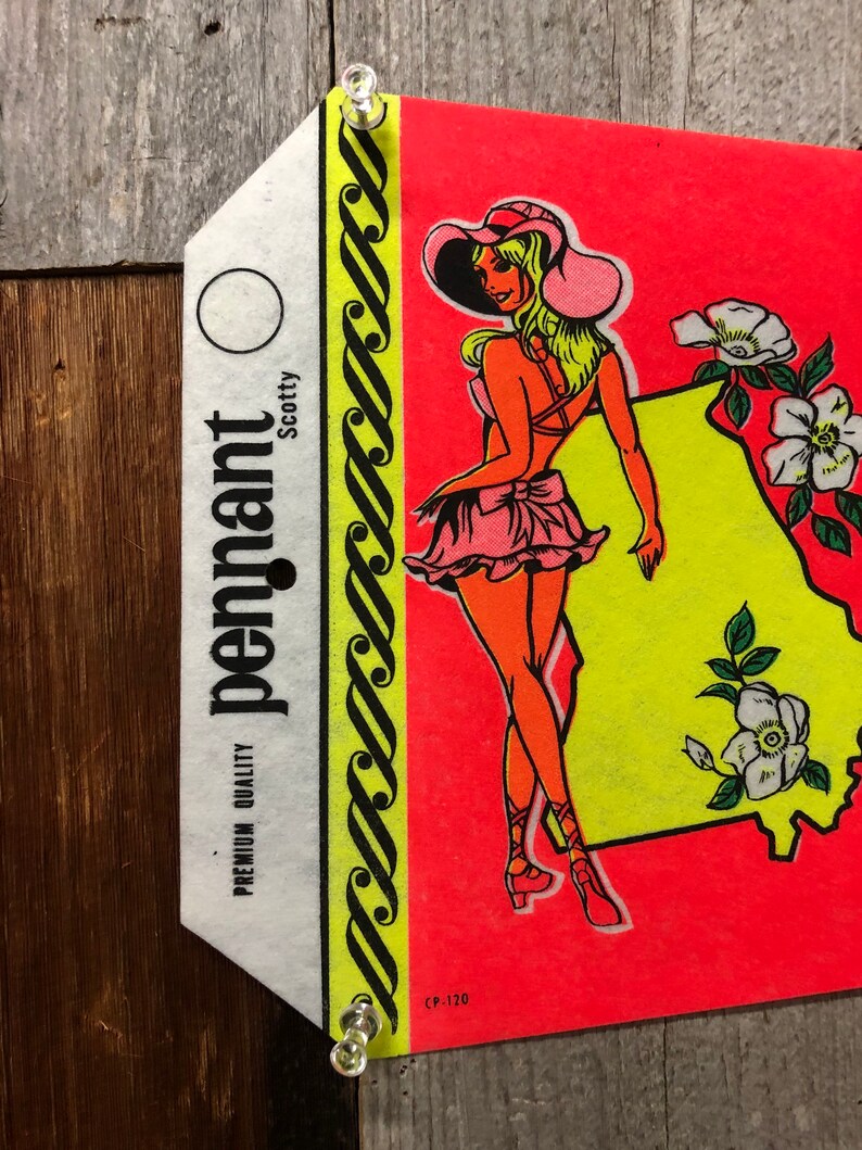 State Felt Pennant / Vintage Travel Pennant / Etsy