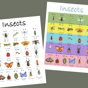 AFFICHES ABC INSECTES / Montessori / Garderie / École maternelle / École à la maison / Alphabet / Insectes / Aquarelle à imprimer / Impressions éducatives / Tout-petit
