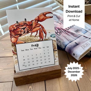 Ocean Lover 5x7 Desk Calendar | Sea Life Theme | 18 month Calendar | July 2025–December 2026 | Instant PDF Download | At Home Office Decor