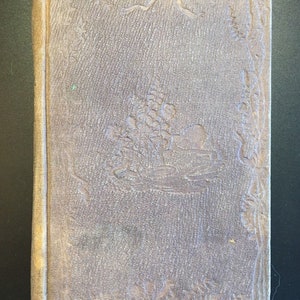 The Pretty Plate, John Vincent Esq, Illustrated by Darley, 1853, 1st. Ed., RARE