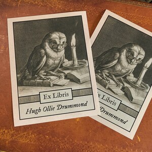 Wise Owl, Personalized Ex Libris Bookplates, Crafted on Traditional Gummed Paper, 3in x 4in, Set of 30