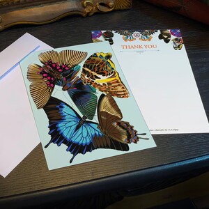 Vintage Butterfly di E. A. Seguy, set di biglietti di ringraziamento piatti fronte-retro, con buste bianche, 5 pollici x 7 pollici