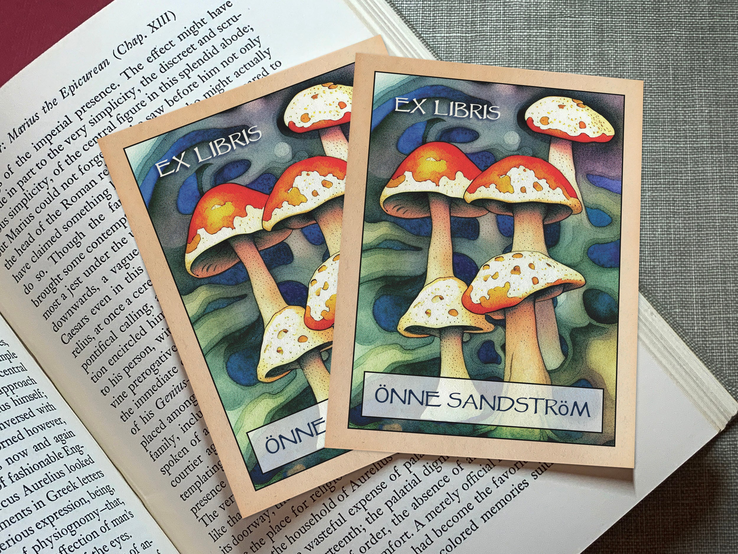 de The Library of | Ex Libris | Sello de libro de hongos florales | Este  libro pertenece al sello personalizado de biblioteca | Sello de biblioteca