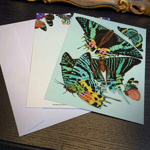 Vintage Butterfly di E. A. Seguy, set di biglietti per appunti piatti fronte-retro per tutti i giorni, con buste bianche, 5 pollici x 7 pollici