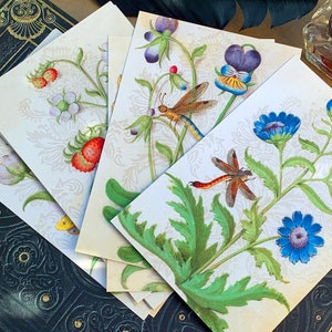 Buch der Blumenstudien von Meister Claude de France, Briefkarten für Literatur- und Gartenliebhaber, 12 Karten