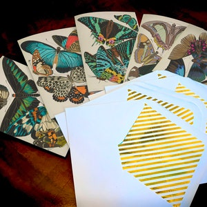 Butterflies by E.A. Seguy, Everyday Greeting Cards with Elegant Striped Gold Foil Envelopes, 5in x 7in, 5 Cards/5 Envelopes