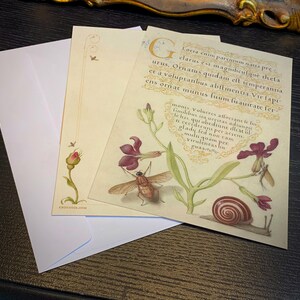 Carnet modèle de calligraphie, giroflée, éphémère et escargot, 5 x 7 po. Cartes de tous les jours avec enveloppes blanches