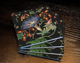 Morning Glory, Drink Coasters, Made from Absorbent Soapstone with a Cork Backing, Set of 4