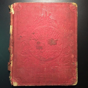 Bruno: lecciones de fidelidad, paciencia y abnegación impartidas por un perro, 1854, poco común