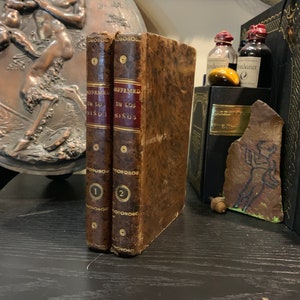 May include: Two antique brown leather-bound books with gold lettering on the spines. The books are titled "INFERMEDADES DE LOS NINOS" and are numbered 1 and 2.