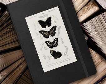 May include: A black notebook with a white illustration of butterflies on the cover. The illustration includes three butterflies with black and white wings and the text "Butterflies" at the top.