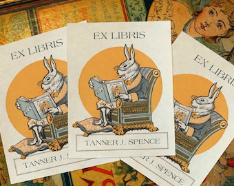 Mr Bunny, Personalized Ex-Libris Bookplates, Crafted on Traditional Gummed Paper, 3in x 4in, Set of 30