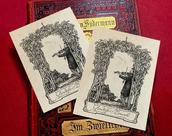 El violinista, exlibris personalizados Ex-Libris, elaborados en papel engomado tradicional, 3 x 4 pulgadas, juego de 30