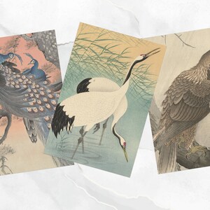 Ohara Koson Birds, cartes postales/cartes de voeux pour les amateurs de littérature et de jardin, 6 motifs, 12 cartes