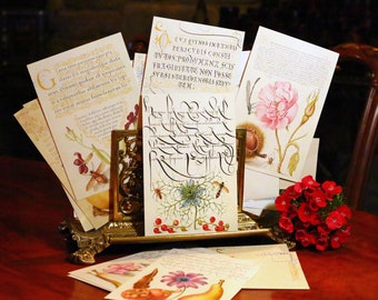 The Model Book of Calligraphy, Everyday Floral Postcards for Literature and Garden Lovers, 12 Designs, 12 Cards