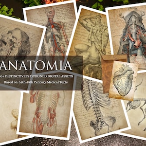 ANATOMIA, Anatomical Crafting Kit Based on Ancient Medical Texts, Book of Shadows (BOS), Scrapbook, Collage, Junk Journal, Digital Download