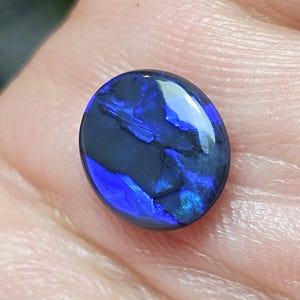 May include: An oval-shaped black opal gemstone featuring a dark base color with vibrant, iridescent flashes of electric blue and deep violet light reflecting across its polished, smooth surface, showcasing a distinct play-of-color pattern.