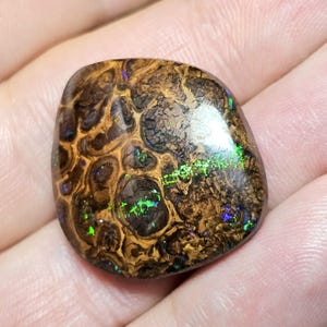 May include: A polished, brown opal gemstone with a unique pattern of dark brown and gold swirls. The opal displays flashes of green and blue iridescence across its surface, creating a striking visual effect. The stone is held in a hand.