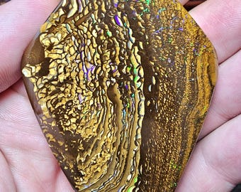 May include: A polished, diamond-shaped gemstone with a complex pattern of brown, gold, and iridescent colors. The stone's surface displays a layered, organic texture, with areas of shimmering green, purple, and blue. The gemstone is held in a hand.