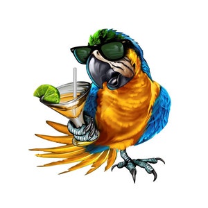 full color drinking parrot download, drinking parrot image, drinking parrot download, fun bar decal download