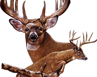 deer jumping decal, full color wild deer decal, realistic deer sticker, wildlife laptop sticker, animal vinyl decal, vinyl sticker