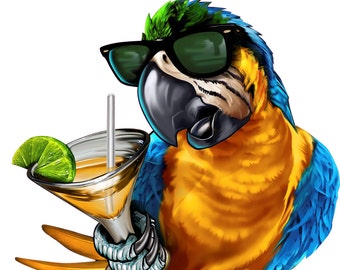 5 O&#39;clock somewhere decal, full color parrot decal, drinking parrot sticker, parrot laptop sticker, vinyl decal, vinyl sticker